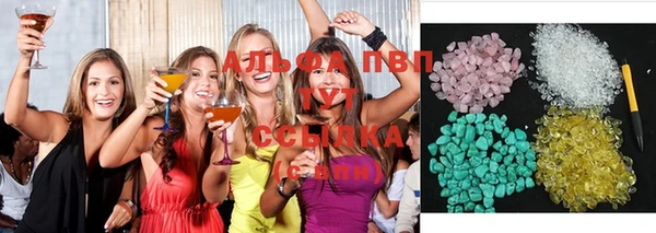 ECSTASY Алзамай
