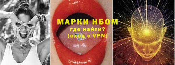 ECSTASY Алзамай